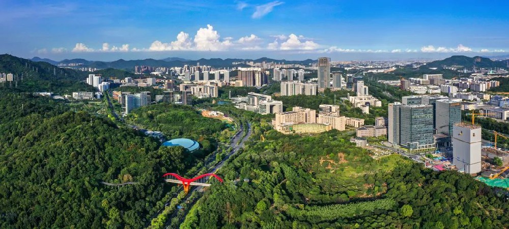 市發(fā)展改革委組織召開廣州實驗大動物產(chǎn)業(yè)高質(zhì)量發(fā)展工作座談會-江蘇網(wǎng)站制作
