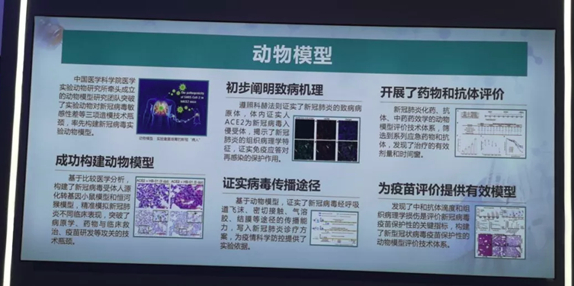 我單位COVID19疫苗保護性的動物模型評價技術(shù)亮相國家十三五科技創(chuàng)新成就展