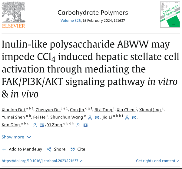 Carbohydr Polym | 上海藥物所合作發(fā)現(xiàn)菊粉樣果聚糖ABWW可通過抑制肝星狀細(xì)胞活化改善肝纖維化