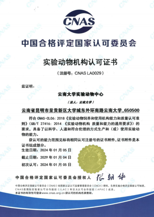 【云南】云南大學實驗動物中心順利通過CNAS實驗動物機構(gòu)認可-江蘇網(wǎng)站制作