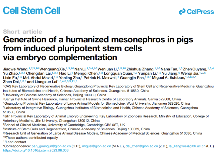 登上Cell Stem Cell封面：我國學(xué)者成功在豬體內(nèi)培養(yǎng)出實(shí)體人源器官-江蘇網(wǎng)站制作