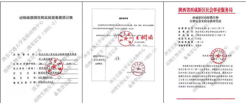 創(chuàng)新港實(shí)驗(yàn)動(dòng)物中心動(dòng)物生物安全二級(jí)實(shí)驗(yàn)室（ABSL