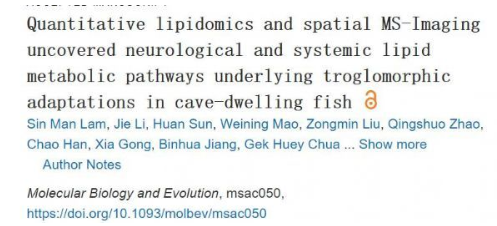 Molecular Biology and Evolution：穴居魚類神經(jīng)和全身脂質(zhì)代謝途徑的洞穴適應(yīng)研究取得進展