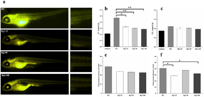 1-s20-S2667142522000021-gr2.jpg
